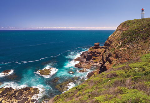 Bushrangers Bay Walking Track - Holiday Find 0