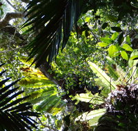 Byrrill Creek Walking Track - Holiday Find