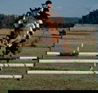 Camden Bicentennial Equestrian Park - Holiday Find