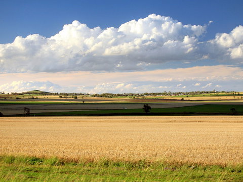 Cambooya - Holiday Find 2