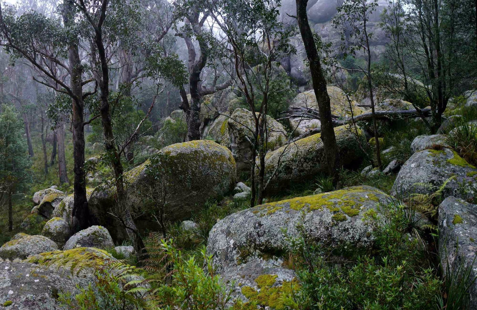 Bundarra NSW Holiday Find