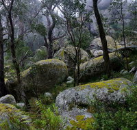Cathedral Rock Track - Holiday Find
