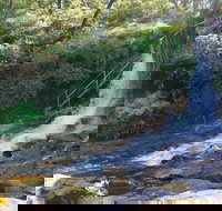 Charles Darwin walk - Holiday Find