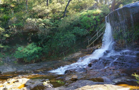 Charles Darwin Walk - Holiday Find 0