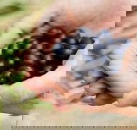 Eat Pick Grow Trail - Wanneroo and Chittering - Holiday Find