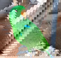 Eyre Reptile  Wildlife Park - Holiday Find