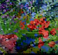 Ferry Artists Gallery - Holiday Find