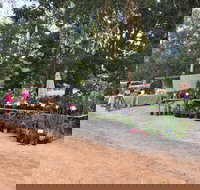 Fred's Pass Rural Market - Holiday Find