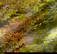 Girrakool loop track - Holiday Find