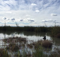 Gwydir Wetlands Moree - Holiday Find