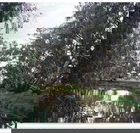 Henty Government Dam Nature Reserve - Holiday Find