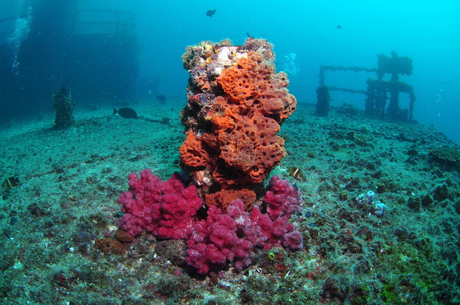 Mooloolaba QLD Holiday Find