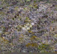 Horsnell Gully and Giles Conservation Parks - Holiday Find