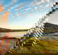 Killalea Reserve - Holiday Find