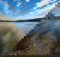 Lake Innes Nature Reserve - Holiday Find