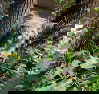 Macadamia Castle - Holiday Find