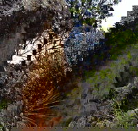 Mystery Face Walking Track