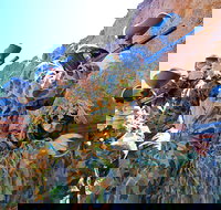 Paintball Albury Wodonga