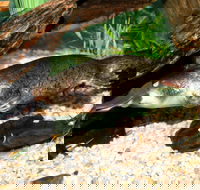Platypus House - Holiday Find