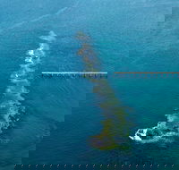 Port Noarlunga Reef Sanctuary Zone - Encounter Marine Park - Holiday Find