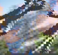 Queens Gardens - Holiday Find