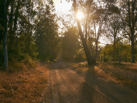 Raysource Road - Holiday Find 1