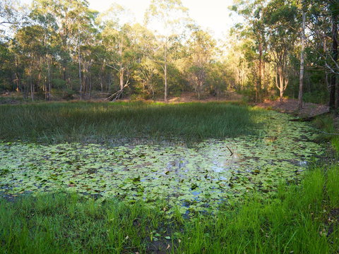 Raysource Road - Holiday Find 2