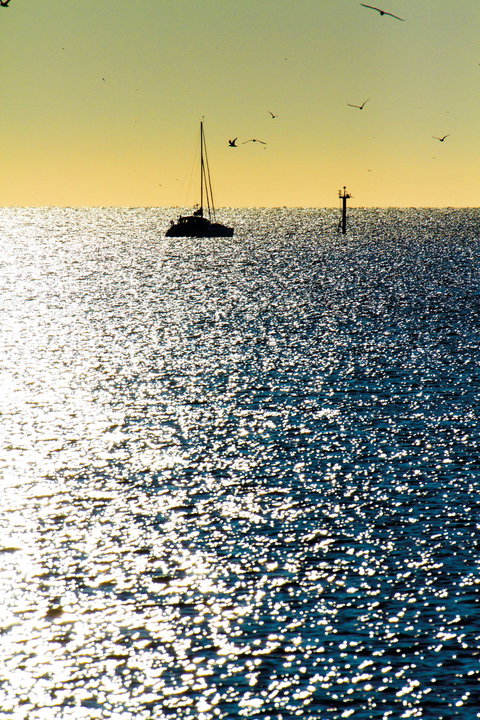 River Heads - Holiday Find 2