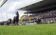 Rosehill Gardens Racecourse - thumb 1