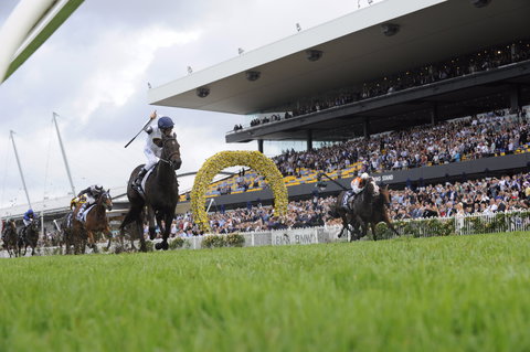 Rosehill Gardens Racecourse - Holiday Find 1