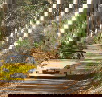 Scotsdale Tourist Drive - Holiday Find