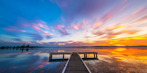 Squid Ink Jetty - Holiday Find 0