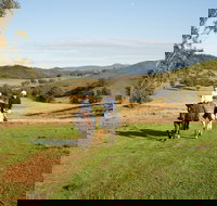 Tamworth and Kootingal Horse Riding Adventures - Holiday Find