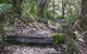Tea Tree Falls Walking Track - thumb 0