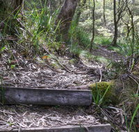 Tea Tree Falls Walking Track - Holiday Find