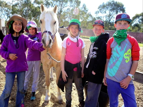 The Saddle Camp - Holiday Find 0