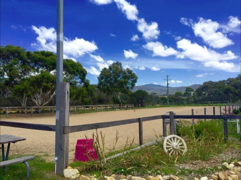 The Saddle Camp - Holiday Find 2