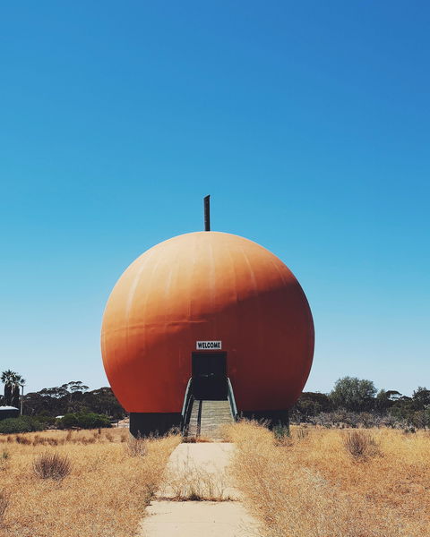 The Big Orange - Holiday Find 0