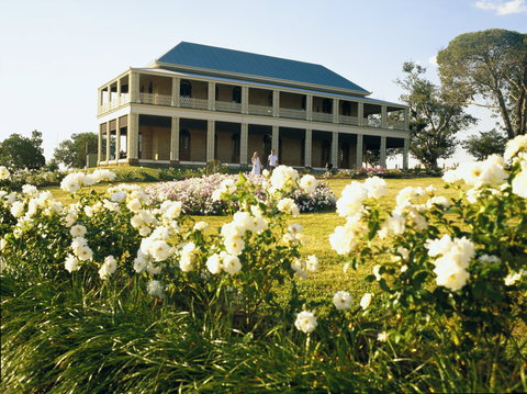 The Cedar Route - Holiday Find 0