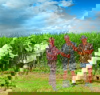 The Shed Gallery - Holiday Find