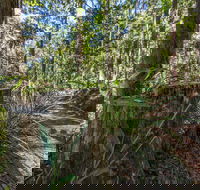 Thylogale Track - Holiday Find