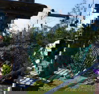 Trees Adventure - Lane Poole Park