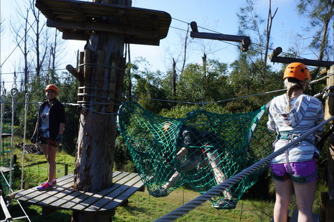 Trees Adventure - Lane Poole Park - Holiday Find 0