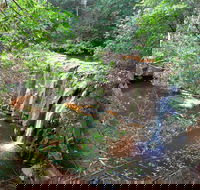 Waitui Falls - Holiday Find