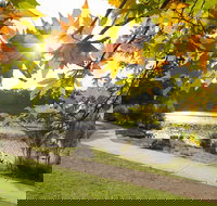 Wentworth Falls Lake - Holiday Find