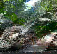 Wirrawilla Rainforest Walk - Holiday Find