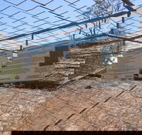 Aboriginal Carvings - Holiday Find