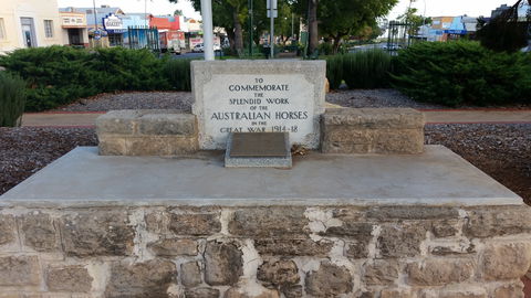Barmera Horse Trough - Holiday Find 0