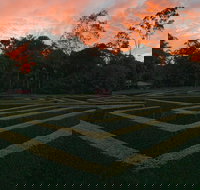 Bellingham Maze - Holiday Find