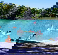 Black Diamond Lake - Holiday Find